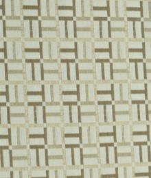 Cloth