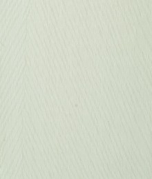 Cloth