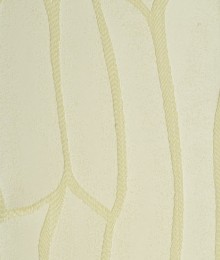 Cloth