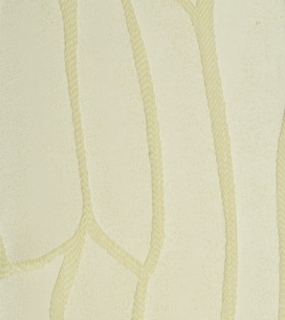 Cloth