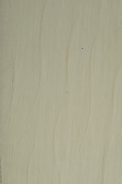 H1304-3 (S)(1).JPG